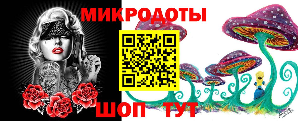 Галлюциногенные грибы Psilocybine cubensis Красный Сулин