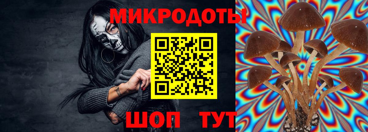 Галлюциногенные грибы мухоморы  Псилоцибиновые грибы GOLDEN TEACHER  Красный Сулин  Вход с VPN 